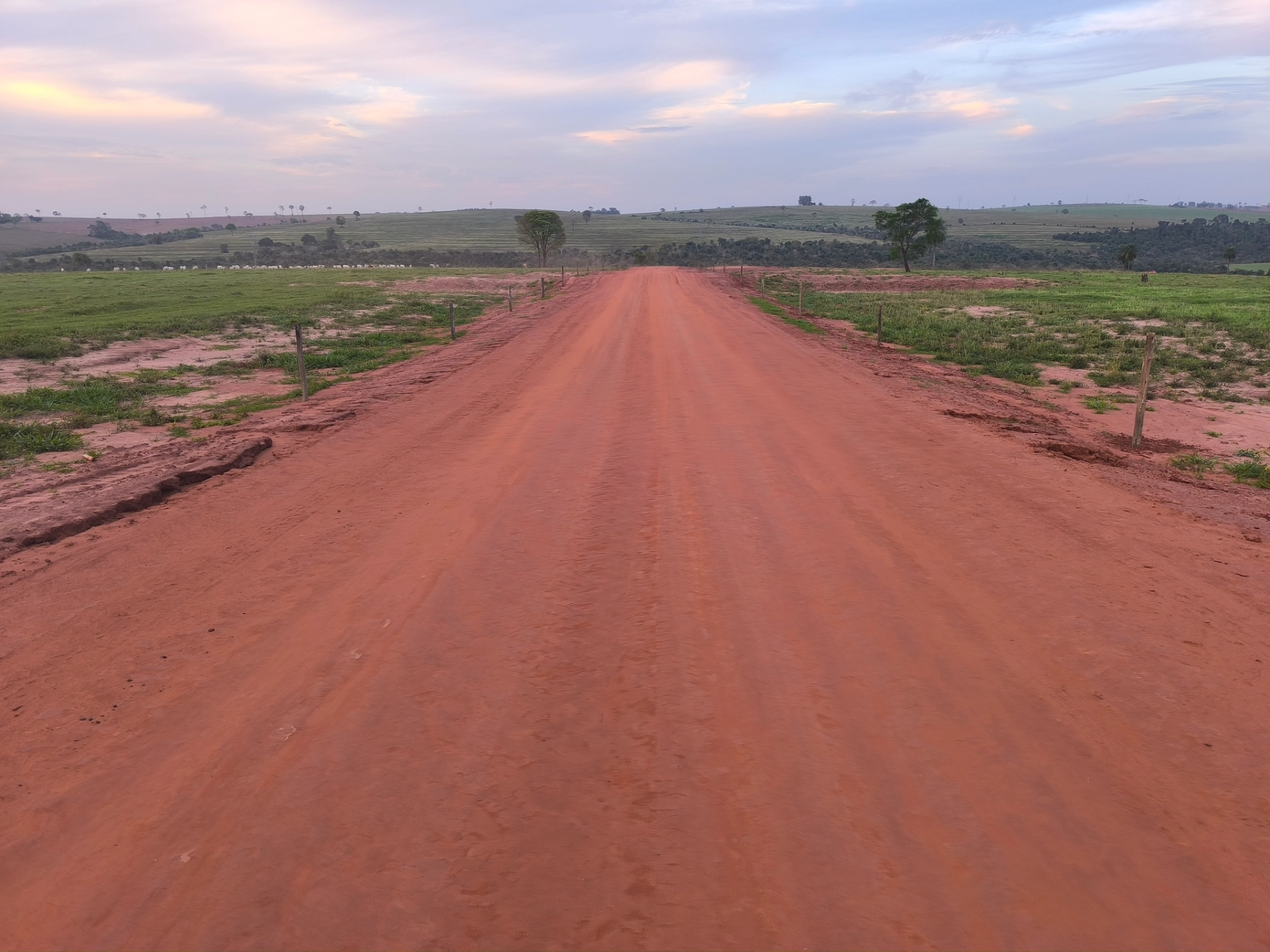 3 - Case Studies SoilTech - EN - August 2026