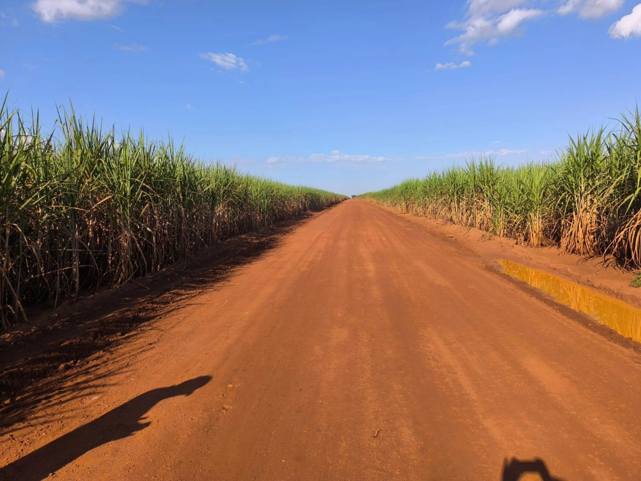 Case Studies SoilTech - EN - September 2026 - 4